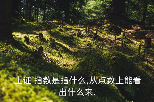  上證 指數是指什么,從點數上能看出什么來.