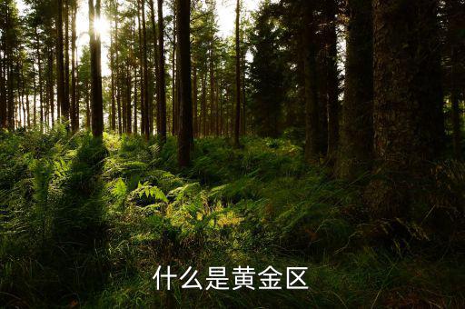 什么是黃金區