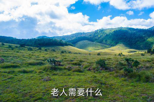 老百姓需要什么，老人需要什么
