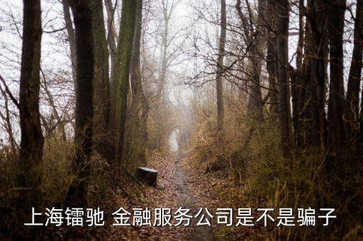 鐳馳金融怎么樣,互聯網股權融資平臺ee融創始人有金融經驗