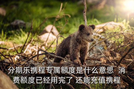 分期樂消費額度是什么意思，分期樂免息額度是什么意思