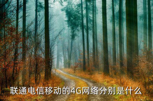 聯通混合組網什么意思，為什么我的聯通卡顯示H是什么意思