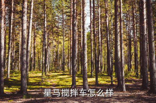 華菱星馬怎么樣,湖北華菱星馬汽車銷售有限公司正式營業