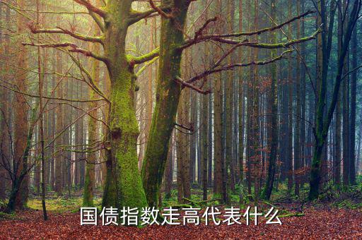 國債指數走高代表什么