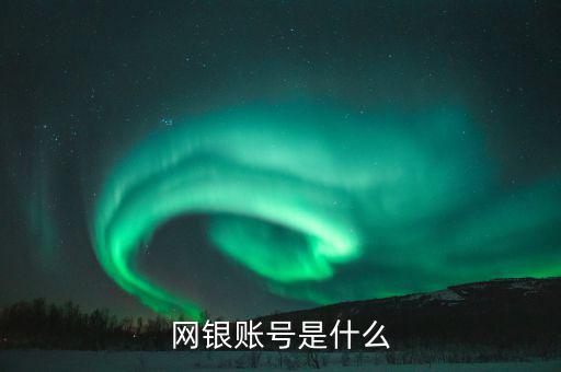 網銀賬號是什么