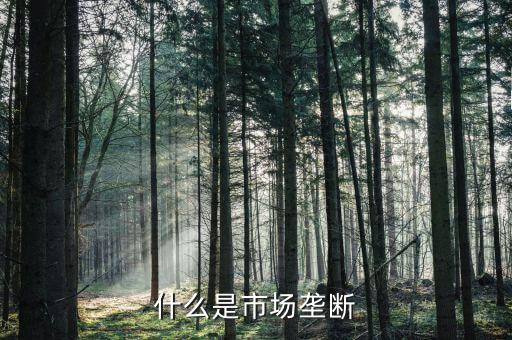 什么算壟斷，什么是經濟壟斷
