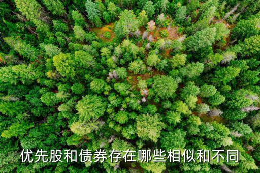 境外優(yōu)先股是什么，優(yōu)先股試點是什么說的詳細點