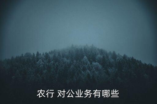 農業對公怎么匯錦州銀行,農業銀行對公業務提供三種存款服務