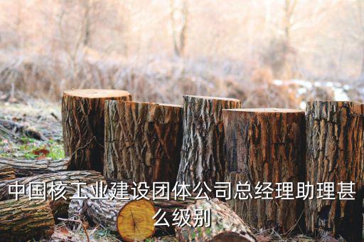 中國核工業(yè)集團(tuán)什么級別，中國核工業(yè)建設(shè)團(tuán)體公司總經(jīng)理助理甚么級別