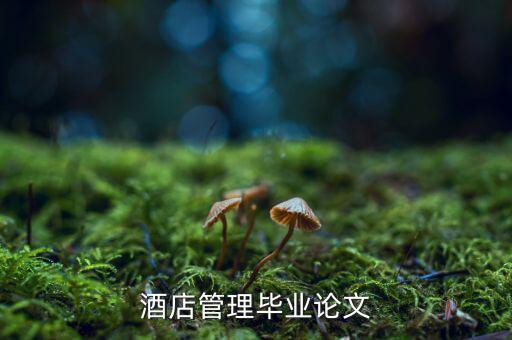酒店管理畢業論文