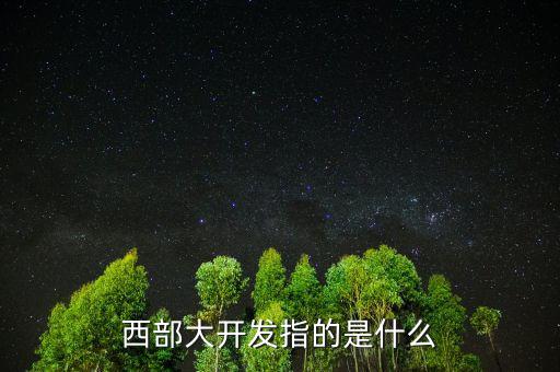 西部大開發指的是什么