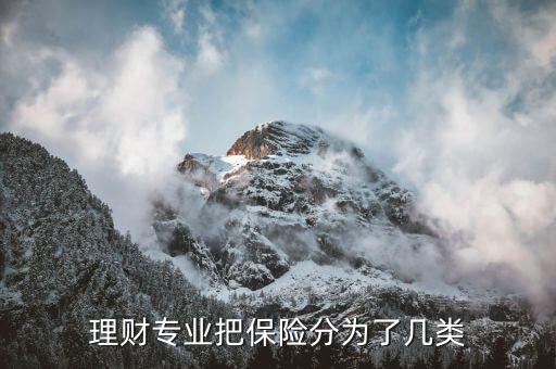 理財專業把保險分為了幾類