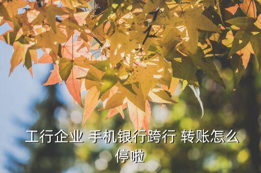  工行企業 手機銀行跨行 轉賬怎么停啦