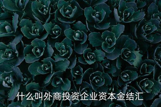 什么叫外商投資企業資本金結匯