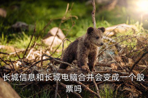 長(zhǎng)城信息和長(zhǎng)城電腦合并會(huì)變成一個(gè)股票嗎