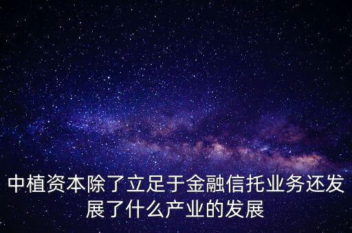 中植資本除了立足于金融信托業務還發展了什么產業的發展