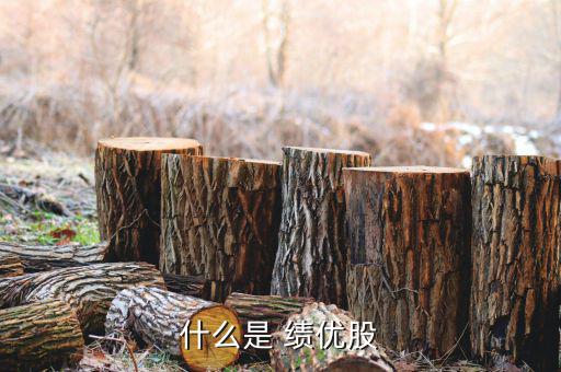 怎么看是不是績優股,中國投資者對績優股衡量主要是指稅后利潤