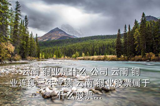 云南銅業公司怎么樣,云南銅業可以叫色板或彩板