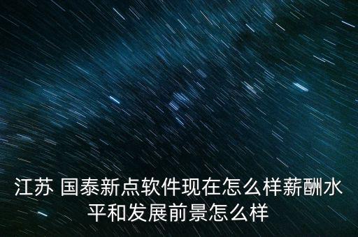 江蘇 國泰新點軟件現在怎么樣薪酬水平和發展前景怎么樣