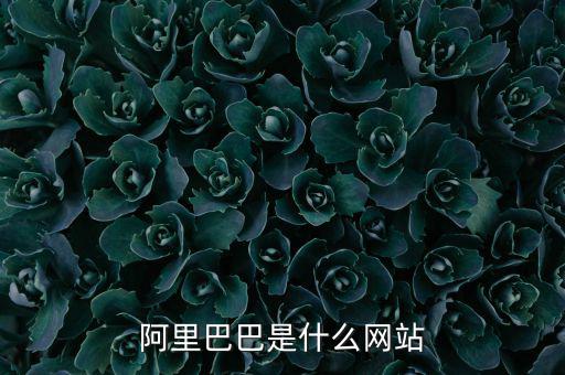 阿里巴巴是什么網站，阿里巴巴是什么網站