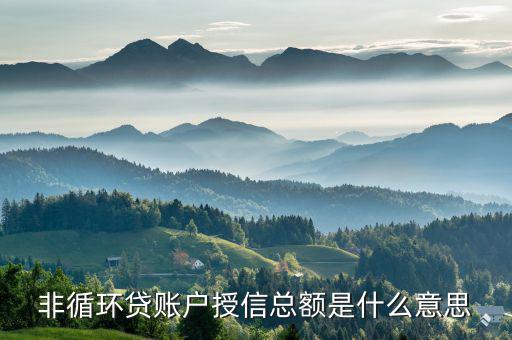 非循環貸賬戶授信總額是什么意思