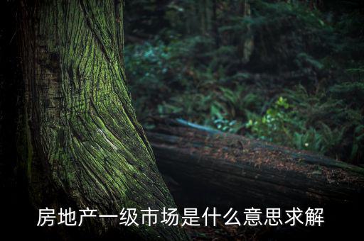 房地產一級市場是什么意思求解