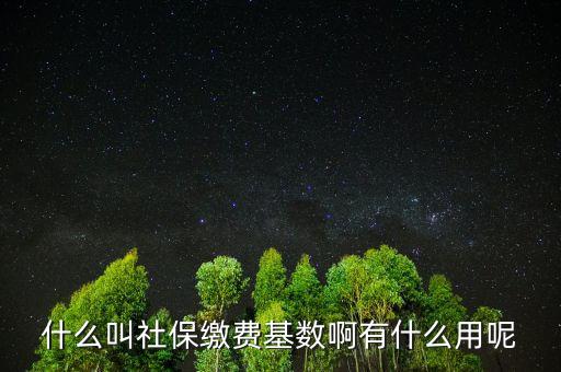 社保繳費基數有什么用，什么叫社保繳費基數啊有什么用呢