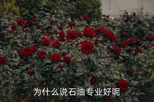 為什么說石油專業好呢