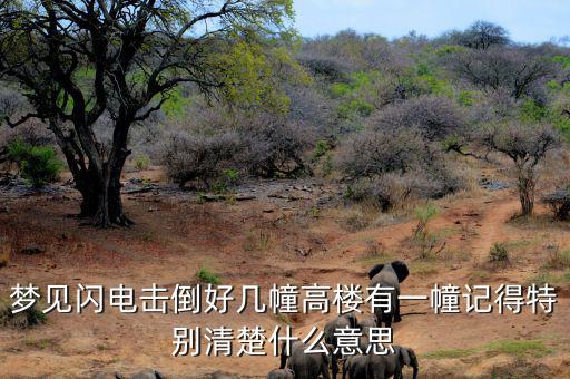什么是閃電崩盤(pán)，a mini flash crash什么意思
