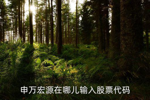 申萬(wàn)宏源為什么用字母查不到股票，申萬(wàn)宏源在哪兒輸入股票代碼