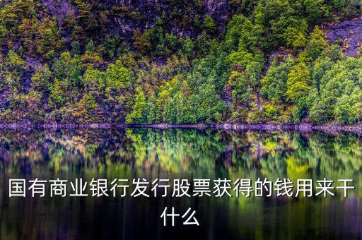 國有商業銀行發行股票獲得的錢用來干什么