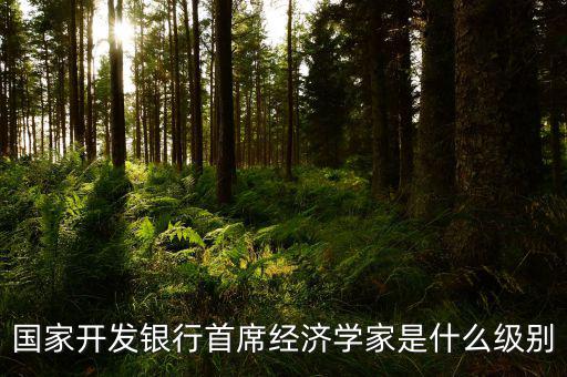 國家開發銀行首席經濟學家是什么級別