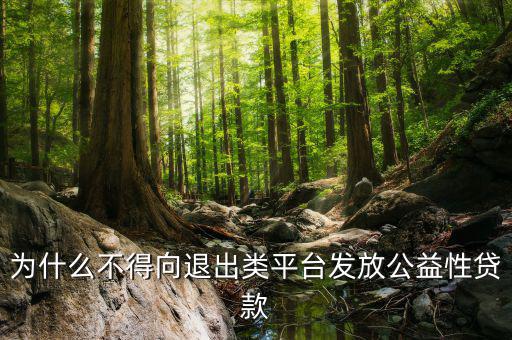 為什么不得向退出類平臺發放公益性貸款