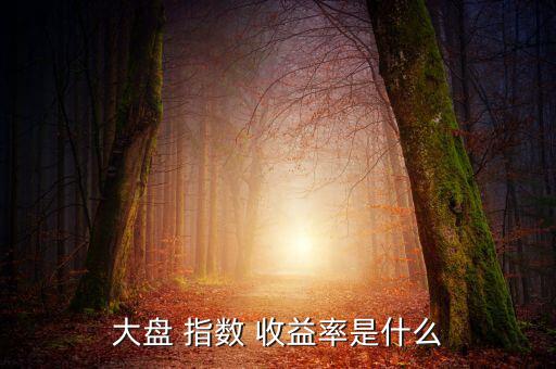 大盤 指數 收益率是什么