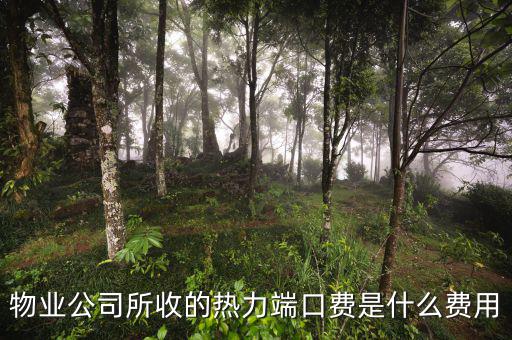 什么是端口費，現在電信包月網線得多少錢還有那端口費是什么意思