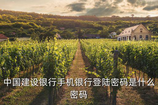 中國建設銀行手機銀行登陸密碼是什么密碼