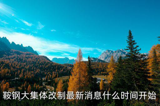 鞍鋼什么時間改制，鞍鋼大集體改制最新消息什么時間開始
