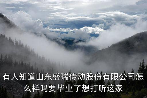 盛瑞企業是干什么的，南京銳盛互聯網科技有限公司主要是做什么的