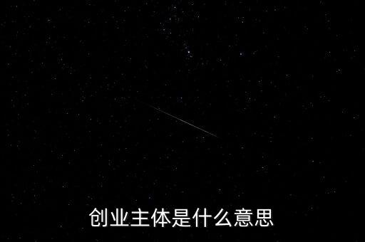 創業主體是什么意思