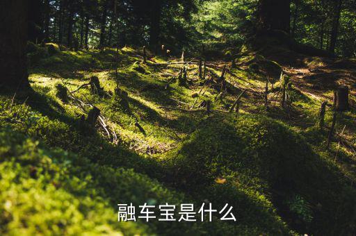 騰牛網理財產品怎么樣,優存之后騰牛網推出車貸產品借車寶