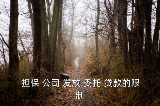 擔保公司怎么委托發放貸款,金融機構推出新措施