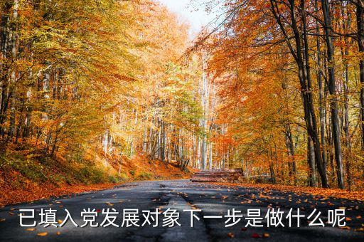 已填入黨發展對象下一步是做什么呢