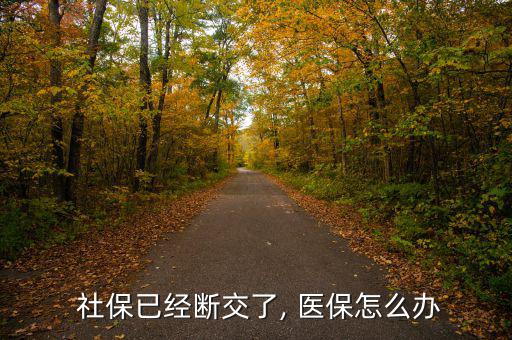 斷社保不想斷醫保怎么辦,辭職不需辦理醫保支付手續?