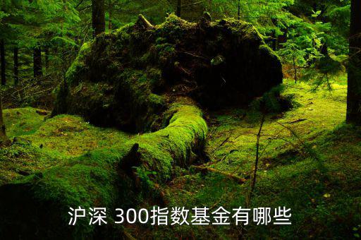 滬深 300指數基金有哪些