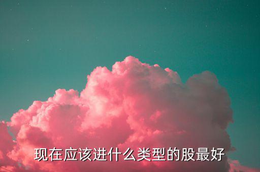 現在應該進什么類型的股最好