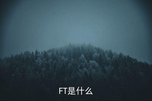 什么是FT調(diào)查，F(xiàn)T是什么