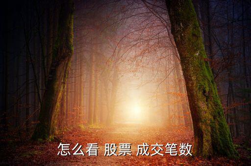 怎么看 股票 成交筆數