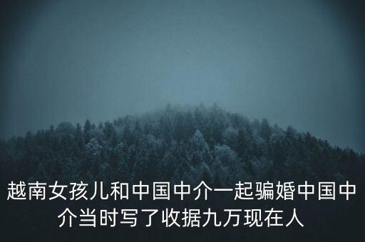 越南女孩兒和中國中介一起騙婚中國中介當時寫了收據九萬現在人