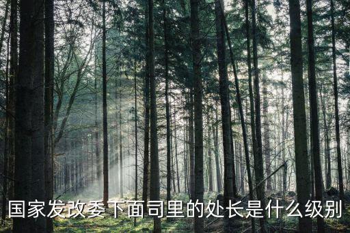 央企處長是什么級別，央企比如移動 電信 聯通 中石油石化 這些企業縣的老總是什么級別