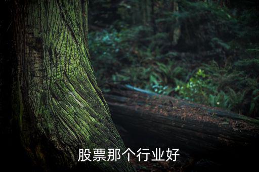 股票那個行業好